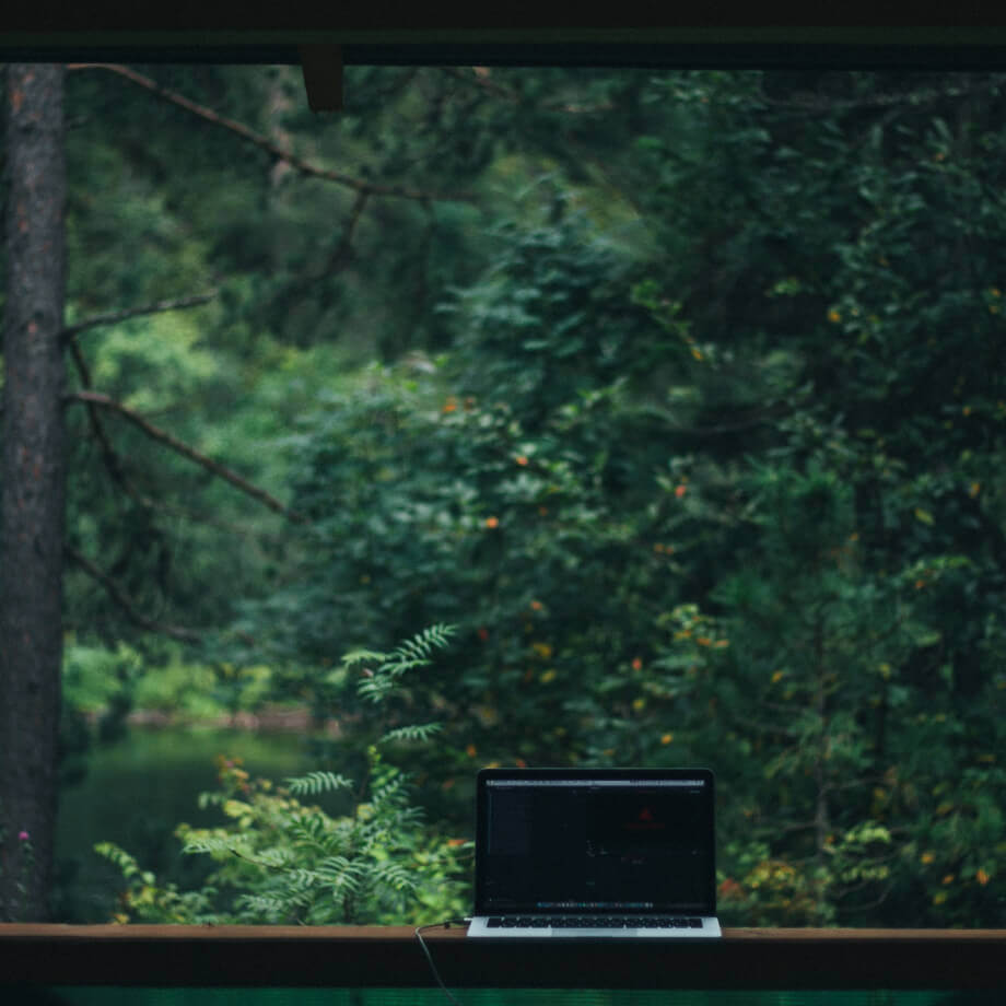 Ноутбук на деревянном столе на фоне леса